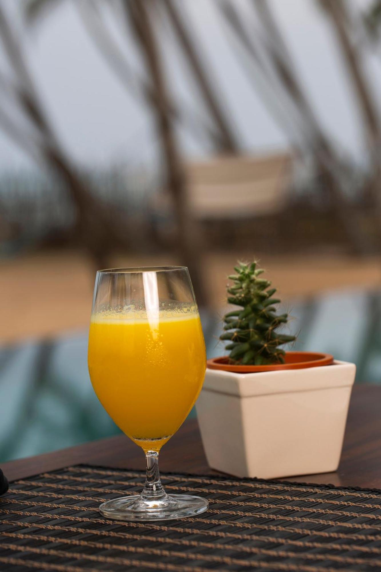 Serendivi Resort Villa Kahandamodara Buitenkant foto